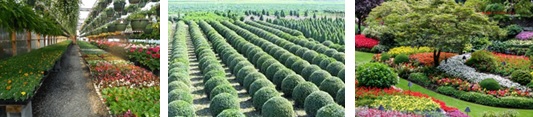 Oszczędność CO2 ze sztucznej trawy dzięki proszku GreenSand Olivine